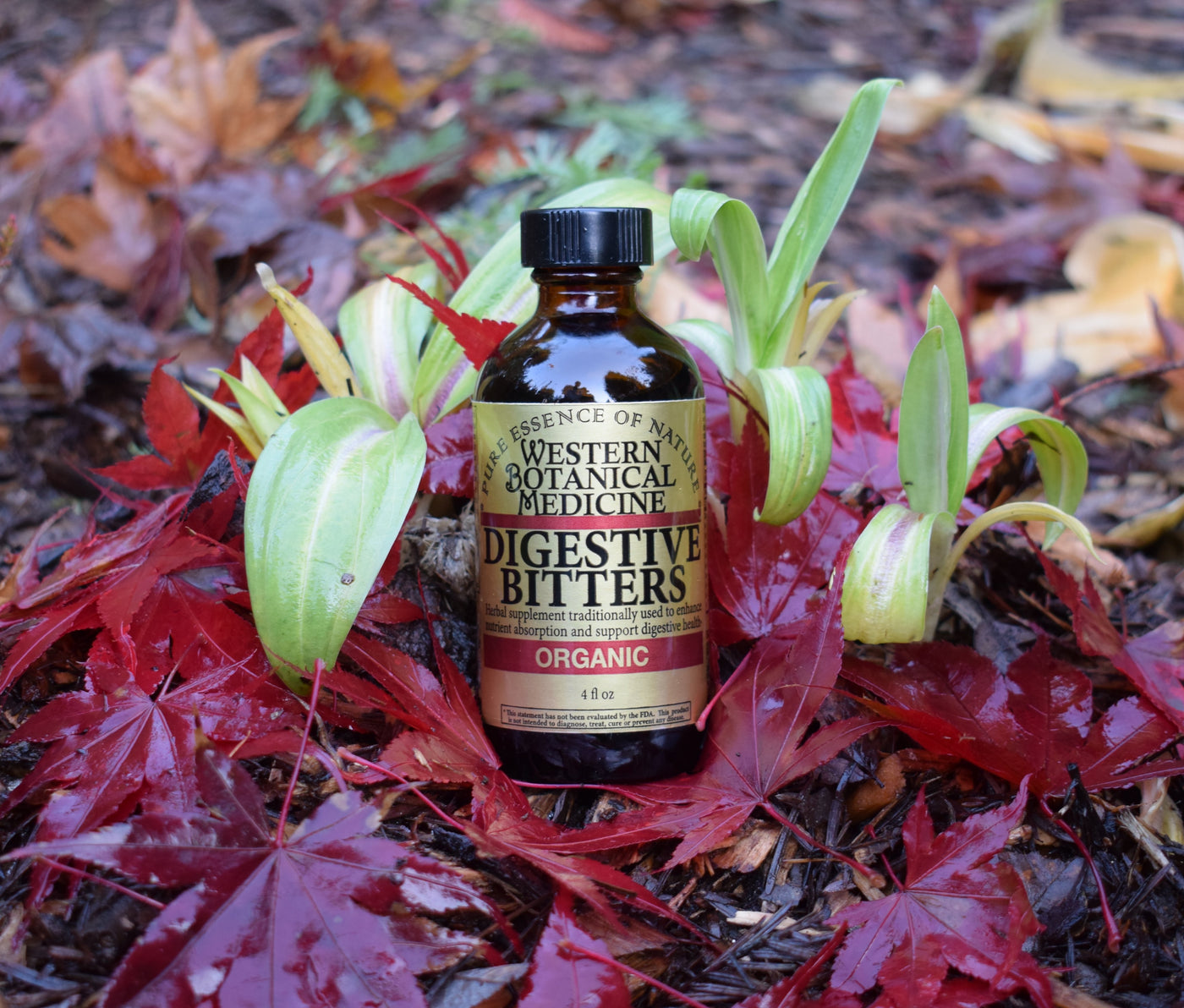 Digestive Support Collection