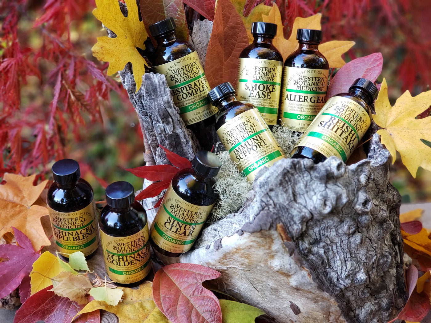 Immune Support Collection